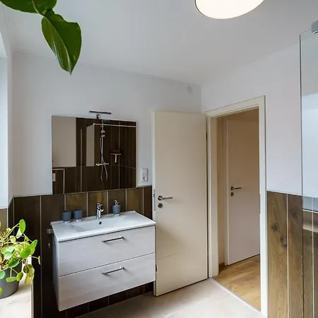 Pilea Apartment Cochem